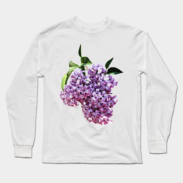 Lilacs - Delicate Pink Lilacs Long Sleeve T-Shirt by SusanSavad